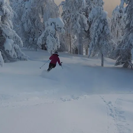 Pyhaen Kortepuolukka