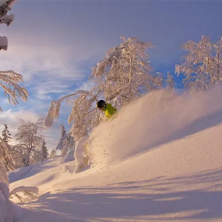 Pyhaen Kortepuolukka *