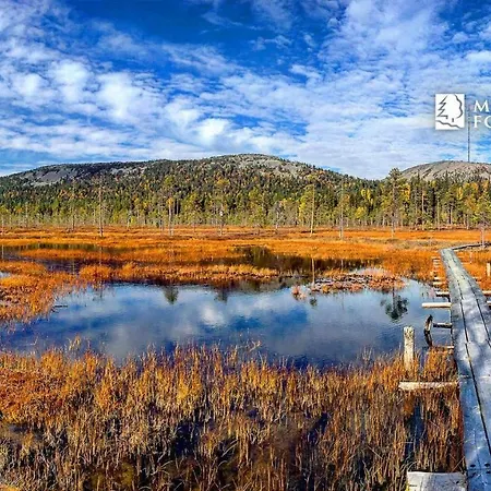 Pyhaen Kortepuolukka Ferienhaus