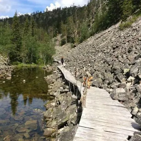 Pyhaen Kortepuolukka *