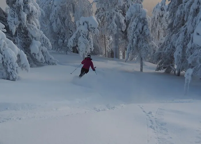 Pyhaen Kortepuolukka