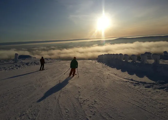 Pyhaen Kortepuolukka