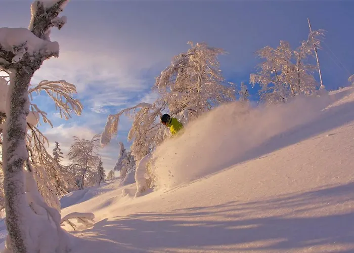 Pyhaen Kortepuolukka *