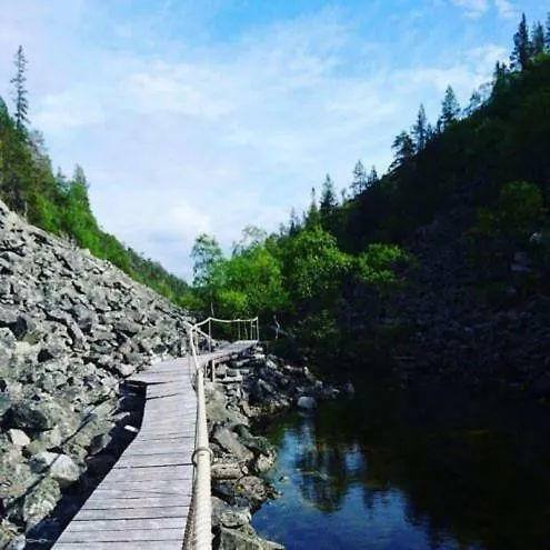 Pyhaen Kortepuolukka *