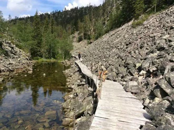 Pyhaen Kortepuolukka *